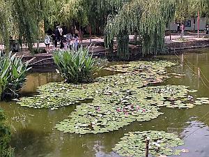 Kunming - Parc Cuihu - 44